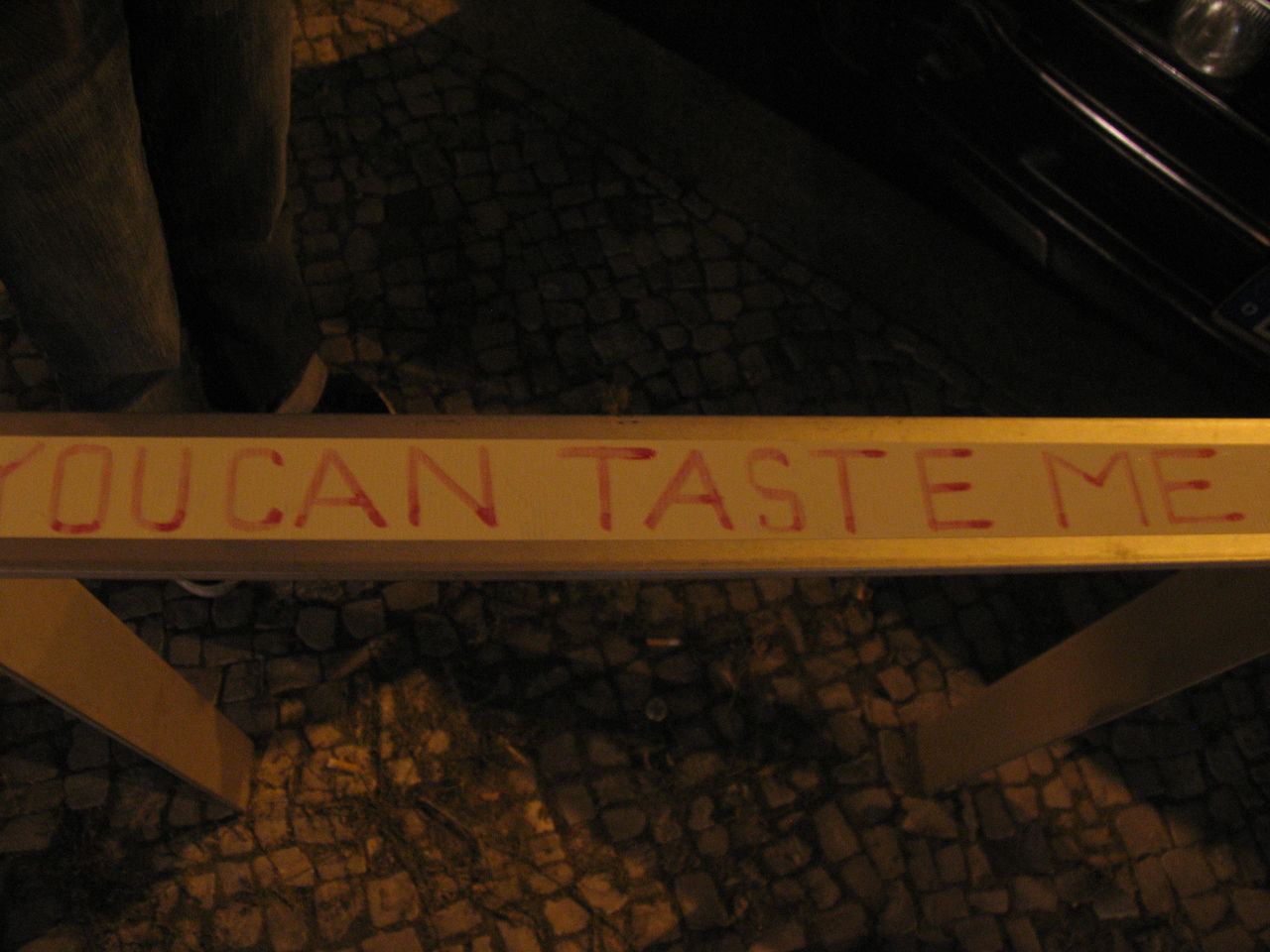 Photographic documentation of RYLLEGA Berlin (Performance by Nguyen Anh Tuan, 21 September 2008)